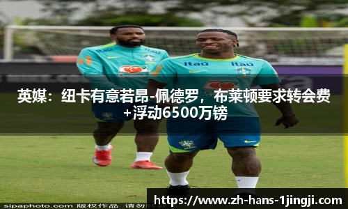 英媒：纽卡有意若昂-佩德罗，布莱顿要求转会费+浮动6500万镑